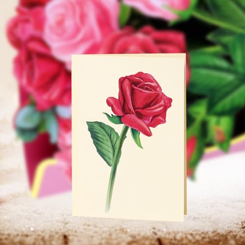 Airpark Pop Up Flower Bouquet Card for Women, 3D Floral Greeting Card with Envelope and Note, Birthday Thank You Thinking of You Get Well Gift for Mom Friend Wife Teacher, Rose - style: Red and Pink Roses