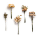 Ling's moment Artificial Greenery Stems Box Set, Faux Greenery Picks for DIY Bridal Bouquets Wedding Floral Arrangement Table Centerpieces, Creamy Yellow & Tawny Beige & Sage - color: Filler Flower Combo- Creamy Yellow & Tawny Beige & Sage