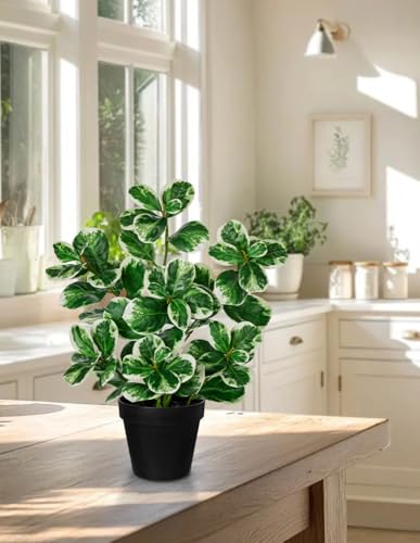 17" Artificial Rubber Plant in Black Pot, Faux Ficus Plant Potted with Cream White Edge Foliages, Fake Greenery Plant for Home Office Tropical Decor - size: 17" & Small