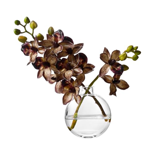 Artificial Orichid Artificial Flowers in Clear Glass Water‑Filled Vase – Silk Fake Plants Table Centerpiece for Home, Shelf, Office & Dining Decor, Maintenance‑Free(Coffee) - color: Coffee