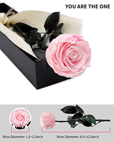 Pink Flowers for Delivery Prime, Preserved Pink Roses Flower Gifts for Women, Real Roses Single Rose Gifts for Her, Mom Birthday Gifts from Daughter, Valentines Flowers - color: 04-pink