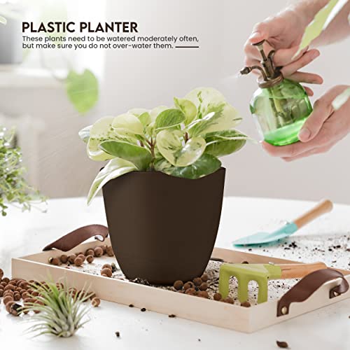 Utopia Home - Plant Pots Indoor with Drainage - 7/6.6/6/5.3/4.8 Inches Garden Flower Pots for Indoor Planter - 5 Pack Brown Plastic Planters - Ideal for Stocking Stuffers or Room, Office Home Decor - color: Brown, size: Pack of 5