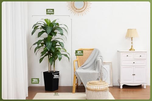 VeriNatural 5FT Artificial Dracaena Tree - UV Resistant Faux Tropical Plant, Potted Fake Tree with Taper Planter & Pebbles - Indoor Outdoor Greenery for Home, Porch, Living Room, Bedroom Decor, VN127 - color: Black, size: 5ft