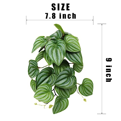 Reptile Plants for Terrarium, Amphibian Habitat Decor Artificial Hanging Plants with Suction Cup - Fake Calathea Orbifolia - color: Fake Calathea Orbifolia