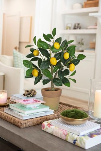 Oairse Artificial Potted Plants 19.7 inches Small Fake Lemon Tree Artificial Lemons Citrus Tree with Terracotta Pot Faux Plants Indoor Lemon Decorations for Home,Office, Living Room Table, Desk - style: Terracotta Pot