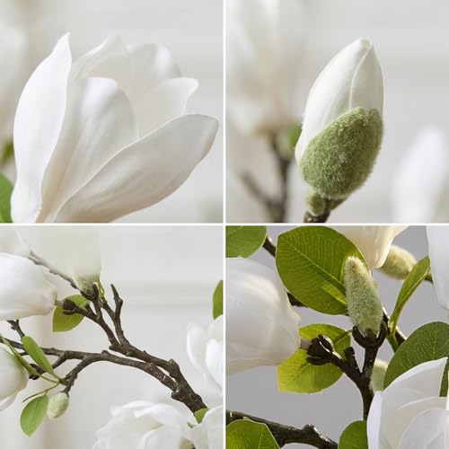 6PCS Artificial Magnolia Flowers Stems for Spring Decoration,26In Artificial White Fake Flowers with Buds Faux Long Stem Floral Arrangement for Vase Table Centerpiece Indoor Home Decor - color: White Green