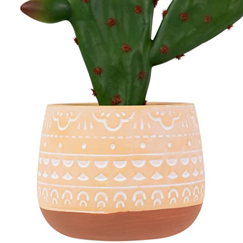 Northlight Real Touch™ Artificial Green and Red Potted Floral Cactus - 9.5"