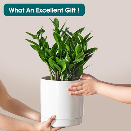vancasso Ceramic Plant Pots, 8.25 Inch Ceramic Pot for Plants, Planters Pots for Indoor Plants with Drainage Holes, Flower Pot for Indoor House Plant, White - color: White, size: 8.25 Inch