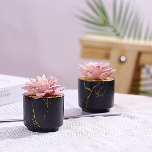 ZENIDA Succulent Artificial Plants,Cute Fake Succulents in 2 Black Ceramic Pots,Small Fake Plants for Office,Table,Desk,Bathroom, Bedroom,Aesthetic Room Shelves Decor,Desk Decorations for Women Office - color: Black