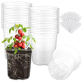 30 Packs 5 Inch Reinforced Clear Nursery Pots for Plants with Drainage Holes, High Transparency Plastic Seedling Plant Pot with 20 Labels - size: 5 inch 30p