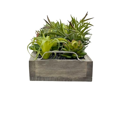 Galt International Faux Assorted Succulent in 31" Wood Tray w/Handles w/Black Rocks | Grey Wood Tray, Artificial Green Moss, Dining Coffee Table Centerpiece (Updated 2026 Packaging) - color: Black Rocks