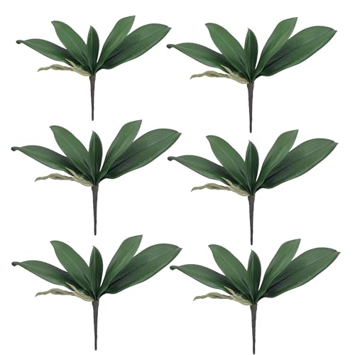 M2cbridge Artificial Green Orchid Leaves Phalaenopsis Stems Real Touch for Flowers Arrangements Pot Decor(10",6pcs) - color: 10",6pcs