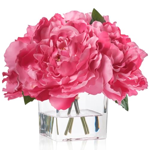 Artificial Peonies Flowers Arrangements in Cube Glass Vase, WELLKNOWN Silk Flower Centerpieces for Dining Room Table, Coffee Table Decor, Faux Peony Flowers with Faux Water (Fuchsia) - color: Fuchsia