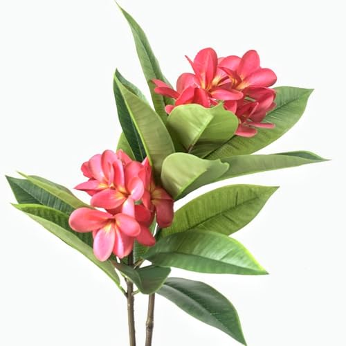 XIYUAN 35.5 Inch Artificial Flowers Artificial Frangipani Flower 2 Stems Lifelike Real Touch Artificial Plumeria Flowers for Home Party Wedding Bouquet Home Decoration (Red) - color: Red