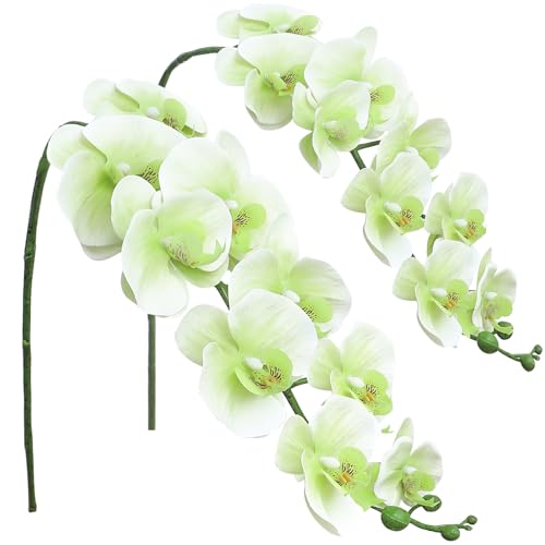 Floroom 2pcs Faux Phalaenopsis Orchid Fake Artificial Flower with Stems, Real Touch Large Blooms 40 Inch for DIY Bouquets, Wedding Centerpieces & Home Decor, Elf Green - color: Elf Green