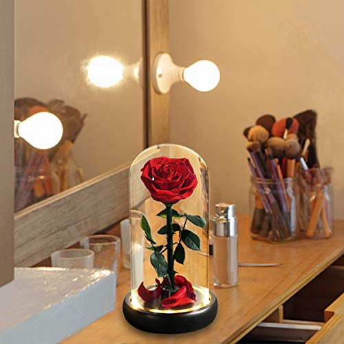 Mothers Day Rose Flower Gifts, Beauty and The Beast Rose Gifts for Women Wife Mom Girlfriend,Preserved Real Rose in Glass Dome,Forever Flowers with Warm Lights,Birthday Gifts for Women - color: Led Rose