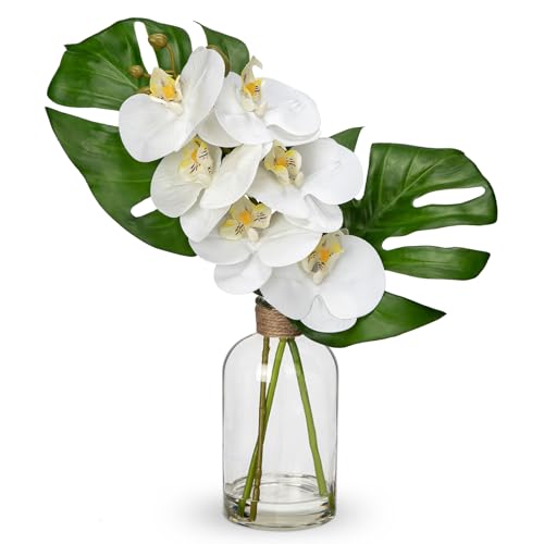 Artificial Monstera Plant and Fake Orchid in Glass Vase, 13.8" Real Touch Fake Plant Tropical Leaves Orchids Artificial Flowers with Faux Water for Home Bathroom Kitchen Office Centerpiece Room Décor - color: Monstera + Orchids