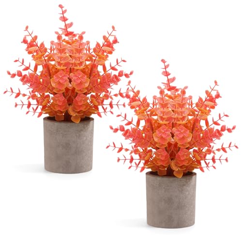 Coferset 2 Pack Fall Small Fake Plants Eucalyptus Potted Artificial Plants Fall Decorations for Home Shelf Office Bathroom Desk Farmhouse Room Coffee Table Decor Fall Decor (Fall Orange) - color: Orange-small