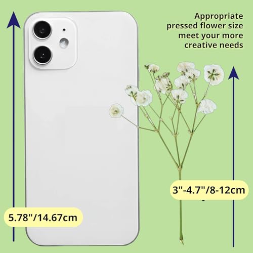 90Pcs Mini Dried Pressed Baby's Breath Flowers Bulk - Natural Flat Real White Gypsophila Baby Breath, Pressed Flowers for Resin, Frame Art, Scrapbooking, Wedding Invitation