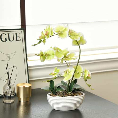 19" H Phalaenopsis Faux Orchid Plant Silk Orchid Centerpiece Artificial Floral Arrangement in Ceramic Pot (Apple Green) - color: Apple Green