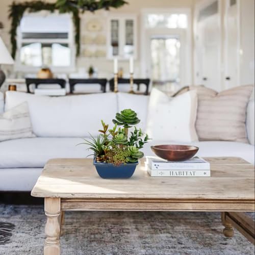 Small Faux Plant Assorted Fake Succulents Plants with Glazed Ceramic Pot Faux Succulents Arrangement Cement Potted Desk Plants Small Fake Plants for Home Table Office Bathroom Shelf Living Room Decor - color: Blue