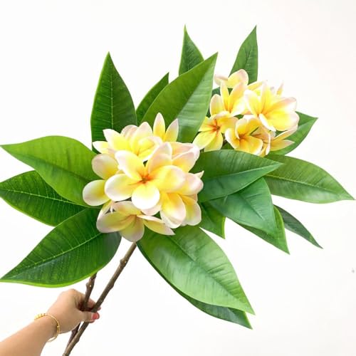 XIYUAN 35.5 Inch Artificial Flowers Artificial Frangipani Flower 2 Stems Lifelike Real Touch Artificial Plumeria Flowers for Home Party Wedding Bouquet Home Decoration (Yellow) - color: Yellow
