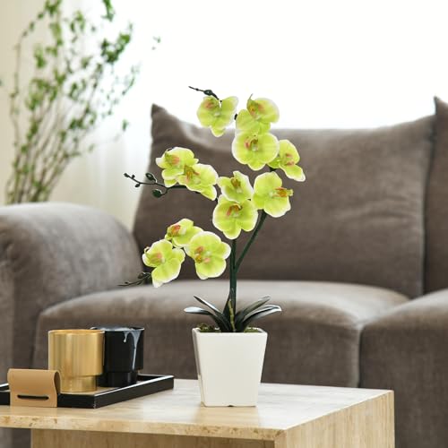 15" Tall Artificial Silk Phalaenopsis Orchid Flower Plant Pot Arrangements (Apple Green) - color: Apple Green