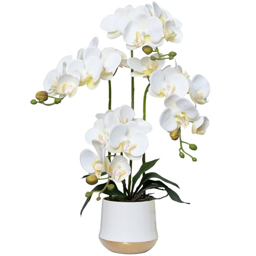 Artificial Orchid Flowers in Ceramic Vase Realistic White Faux Orchids 19.5 Inch Fake Phalaenopsis Plant Arrangements for Home Indoor Centerpiece Decor (Set of 4 Stems) - color: White, size: 14CM- WhiteGolden