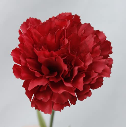 Rikyo 11 Inch Bouquets 10 Stem Red Carnations,Outdoor UV Resistant No Fade Artificial Flower,Mini Carnation Silk Petals Fake Flowers Forever Plants for Photo Props Home Party and Wedding Decor - color: Red-10