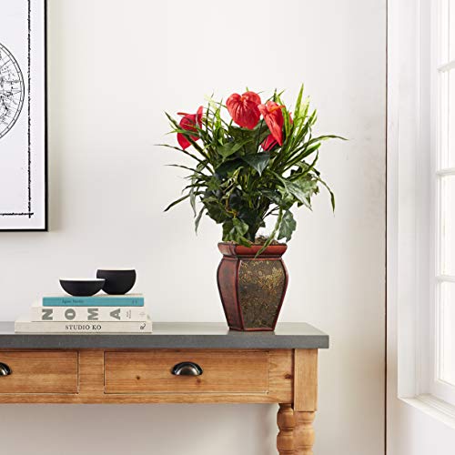 Nearly Natural Mixed Greens & Anthurium with Decorative Vase Silk Plant