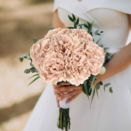 IPOPU Carnations Artificial Flowers,6PCS Real Touch Beige Flowers 20'' Long Stem Fake Carnations for Tall Vases Home Wedding Party Table Centerpieces Decor (Beige) - color: Beige