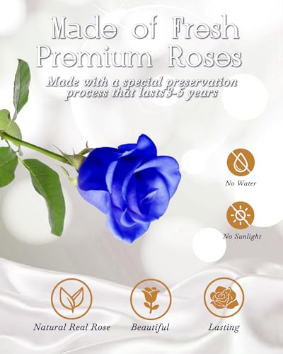 HVY Preserved Real Flowers Bouquet Gifts for Her,Forever Flowers Gift for Women,Preserved Blue Rose in Glass Dome with LED Light Ideal for Christmas,Birthday,Anniversary,Valentine's Day, Mother's Day - color: Blue Rose