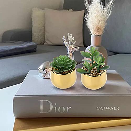 Briful Small Artificial Succulents in Pots Set of 2 Realistic Faux Succulents Plants with Gold Ceramic Pots Cute Mini Fake Plants Decor for Modern Home Table Office Desk Bathroom Shelf Decoration - color: Style #06