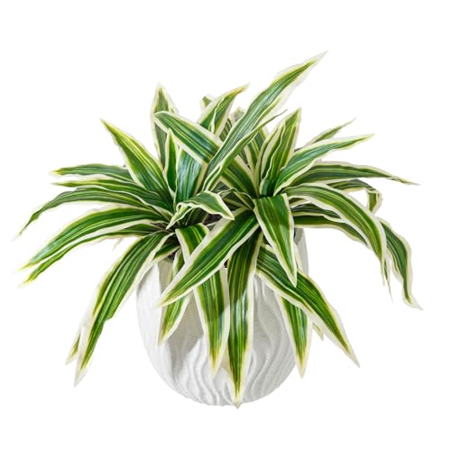 ucky 19.5" Artificial Dracaena Leaves Branches (20 Leaves, White-Edged Green), High-Fidelity Modern Fake Plants Bush for Housewarming Gift - color: 2pcs White-edged Green, size: 20 Leaves