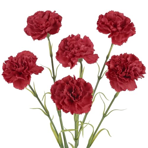 IPOPU Red Carnations Artificial Flowers,6PCS Real Touch Faux Flowers 20'' Realistic Long Stem Fake Carnations for Tall Vases Wedding Party Mother's Day Home Decoration (Red) - color: Red