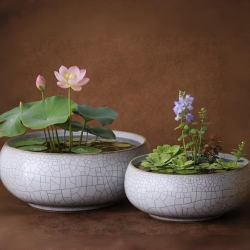 2 Pack Lotus Bowl Planter, Large 7.5'' & Small 6'' Shallow Lotus Pots for Water Planting, Drainage-Free Ceramic Hydroponic Bowl for Lotus Seeds, Ikebana, Succulents & Water Lilies (Kiln Split) - color: Kiln Split