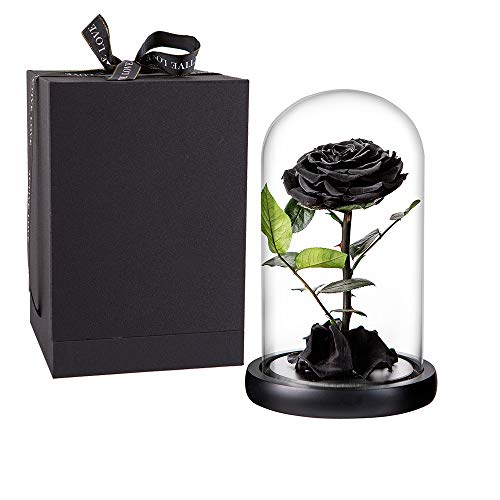 Preserved Roses Black Roses Handmade Real Rose in Glass Dome, Preserved Roses Never Withered Romantic Gifts for Her, Mother's Day, Birthday Gifts for Women (9 inch, Black) - color: Black, size: Large