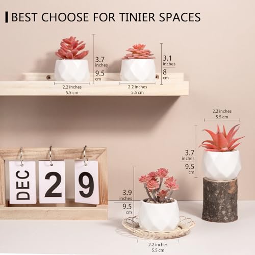 VIVERIE Mini Faux Succulents Plants Artificial in Pots-Rose Pink Desk Accessories, Small Fake Succulents Plants for Home Decor Indoor for Women, White Ceramic, Set of 4 - color: Pink