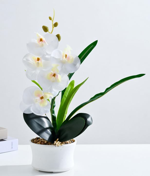 Leoyoubei 6 Branch Artificial Orchid Flowers,15” Dancing Orchid,Fake Phalaenopsis,Soft Real Touch Orchid for Arrangements Wreaths,Wedding Centerpiece Flower Floral Farmhouse (White) - color: White