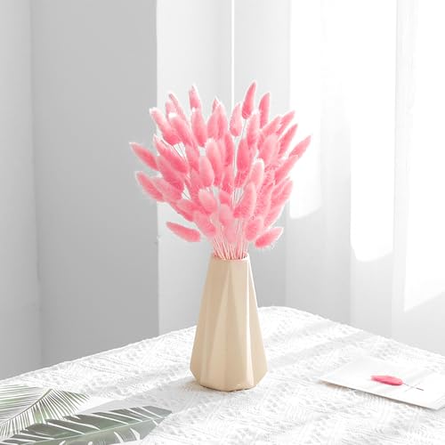 60PCS Rabbit Tail Grass Dried Flowers Dried Natural Floral Arrangement Bunch Decoration Dried Grass,Eternal Flower Dried Grass for Home,Wedding,Party,Flower Bouquet,Photo Props Decor (Pink)