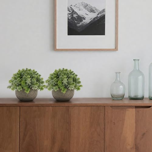 Gresorth 2 PCS Small Artificial Potted Plant Decoration in Pulp Pots Fake Topiary Plants Ornament Lifelike Faux Green Landscape Model for Party Bedroom Windowsill - color: B - 2 Pcs