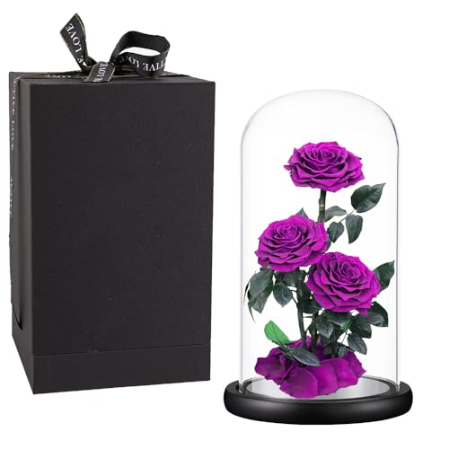 Purple Roses Handmade Rose in Glass Dome, Preserved Flowers Never Withered, Birthday Gifts for Women (13 inch) - color: Purple, size: X-Large