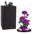 Purple Roses Handmade Rose in Glass Dome, Preserved Flowers Never Withered, Birthday Gifts for Women (13 inch) - color: Purple, size: X-Large