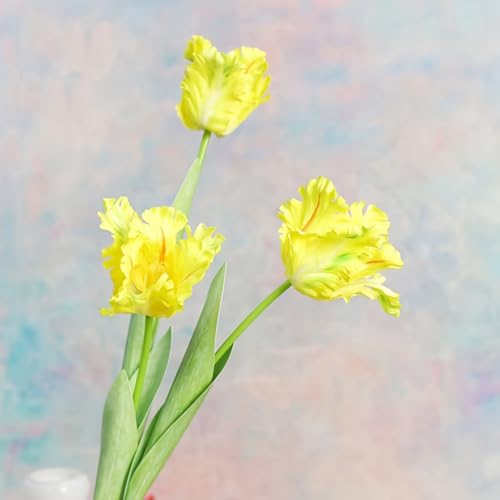 3Pcs 3D Parrot Tulips Artificial Flowers Faux Tulips Real Touch Long Stem Fake Tulips Bouquet for Home Office Wedding Table Decor 27.56" Tall-Yellow - color: Yellow