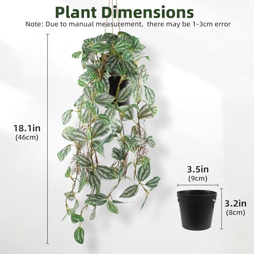 Artificial Hanging Ivy Plants Realistic 3D Watermelon Texture Fake Peperomia Leaves Faux Potting Vine Green Plants for Indoor Outdoor Home Garden Decor - color: C