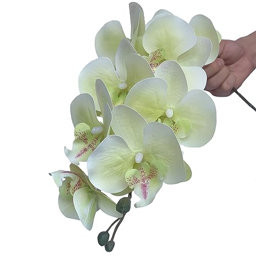 FagusHome 32 Inch Artificial Phalaenopsis Flowers 6 Pcs Artificial Orchid Flowers Stem Plants for Home Décor (Light Green), FH1000143 - color: Light Green
