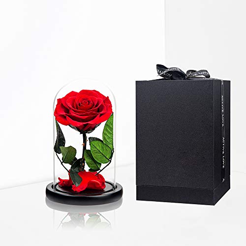 Preserved Roses Red Roses in Glass Dome, Medium, Preserved Flowers for Women - color: Red, size: Medium