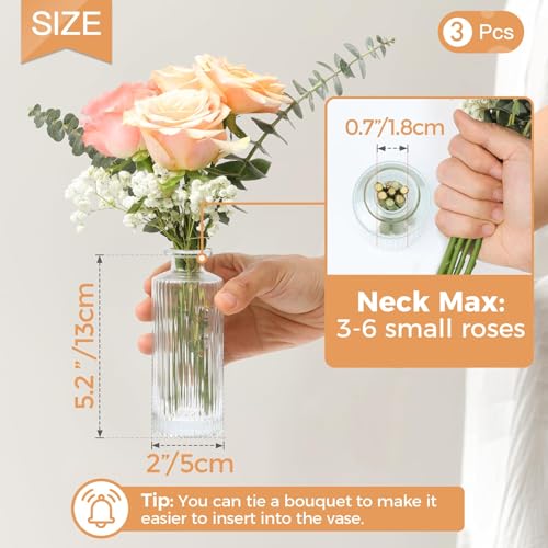 ComSaf Glass Bud Vases Set of 3, Small Flower Vases in Bulk, Mini Ribbed Vases for Centerpieces, Clear Vintage Vase for Table Decorations, Wedding, Party, Receptions, Home Decor (Different Sizes) - size: 3Pcs