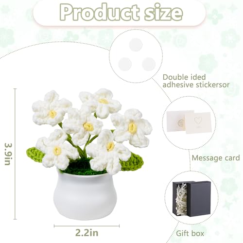 LAIDANLA Crochet Flowers Forget Me Not, White Crochet Flower Potted Plant for Desk, Handmade Anniversary Graduation Birthday Small Gifts for Women Friend Teacher Mom Coworker - color: White