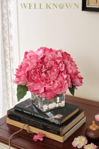 Artificial Peonies Flowers Arrangements in Cube Glass Vase, WELLKNOWN Silk Flower Centerpieces for Dining Room Table, Coffee Table Decor, Faux Peony Flowers with Faux Water (Fuchsia) - color: Fuchsia